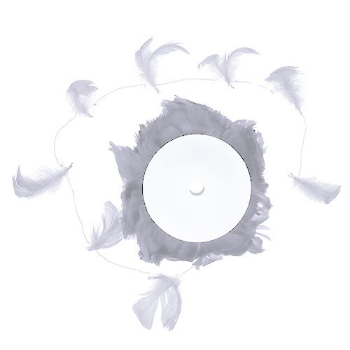 Floristik24 Fjær på wire Hvit 10m