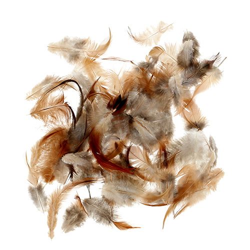 Floristik24 Fjærsortering. 5-15cm natur 228stk