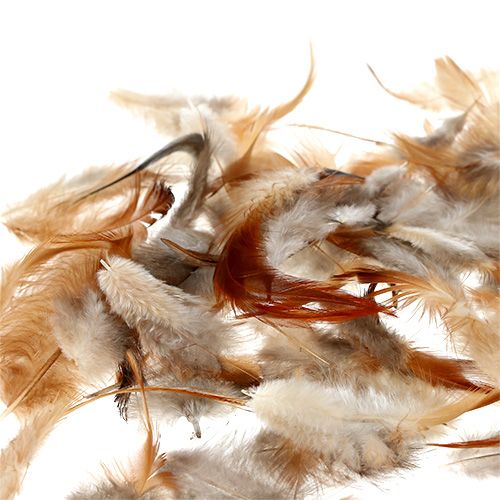 Floristik24 Fjærsortering. 5-15cm natur 228stk