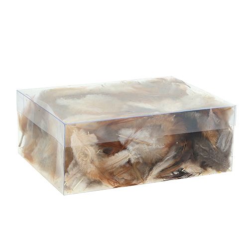 Floristik24 Fjærsortering. 5-15cm natur 228stk