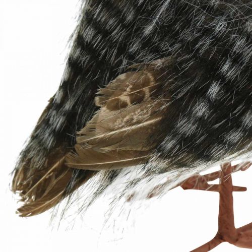 Floristik24 Ugle til pynt, høst, dekorativ fugl, skogdekorasjon H21cm