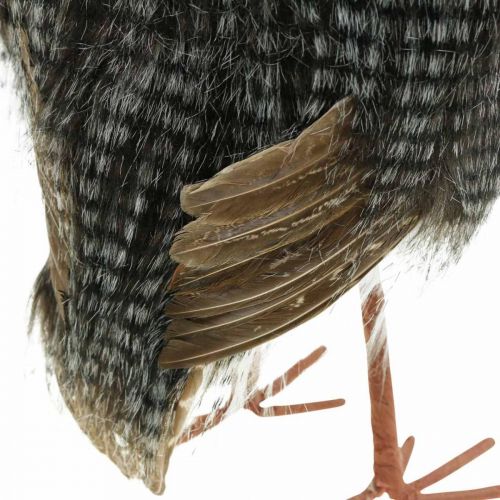 Floristik24 Skogugle, vinterdekorasjon, dekorativ ugle, høst H41cm