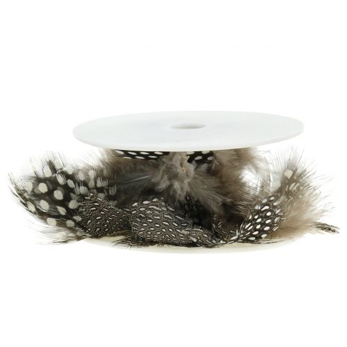 Floristik24 Fjærkrans brun 5m