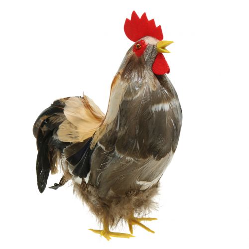 gjenstander Påske dekorasjon hane og høne med fjær natur H26cm sett med 2