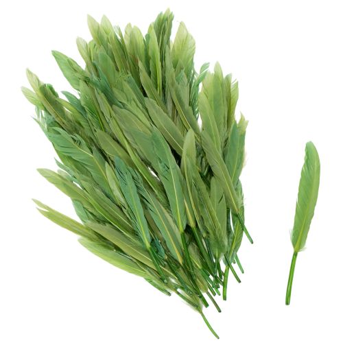 Dekorative fjær for en stilig atmosfære og imponerende dekorasjoner 10 cm