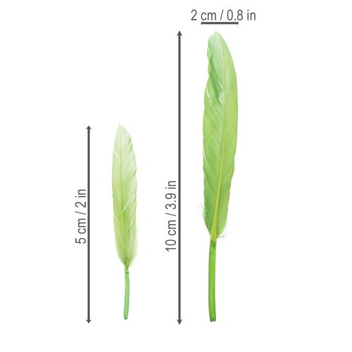 gjenstander Dekorative fjær for en stilig atmosfære og imponerende dekorasjoner 10 cm