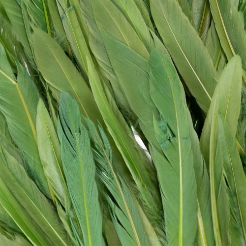 gjenstander Dekorative fjær for en stilig atmosfære og imponerende dekorasjoner 10 cm