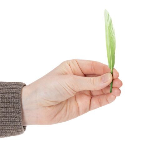 gjenstander Dekorative fjær for en stilig atmosfære og imponerende dekorasjoner 10 cm