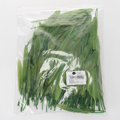 gjenstander Dekorative fjær for en stilig atmosfære og imponerende dekorasjoner 10 cm