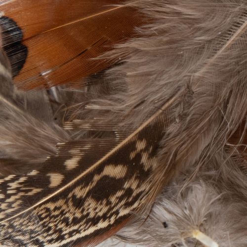 gjenstander Fjær for allsidige håndverksideer, kreativ design og dekorasjonsideer, 5 cm, 3 g