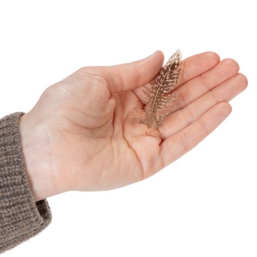 gjenstander Fjær for allsidige håndverksideer, kreativ design og dekorasjonsideer, 5 cm, 3 g