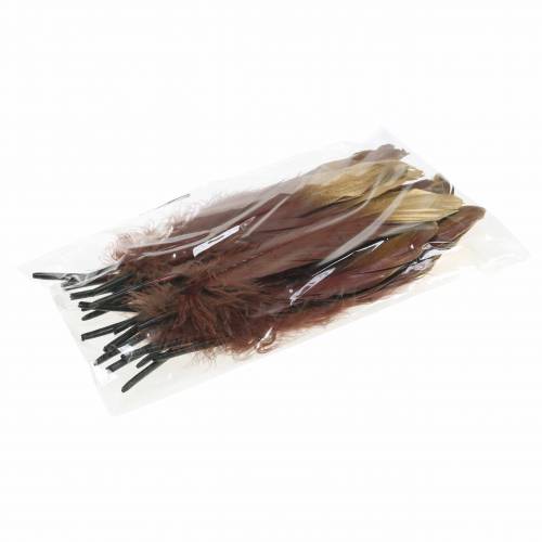 Floristik24 Fjær burgunder, gull 18-23cm 24 stk