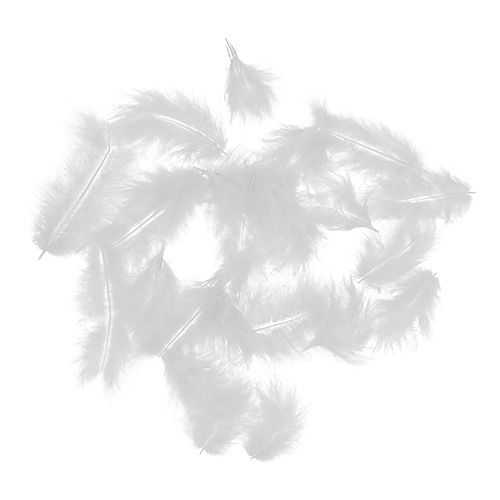 Fjær korte 30g hvite