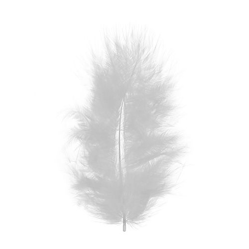 Floristik24 Fjær korte 30g hvite