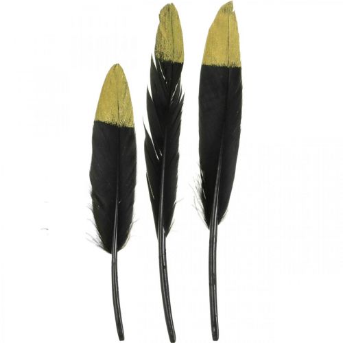Floristik24 Dekorative fjær svarte, gull ekte fjær for håndverk 12-14cm 72stk