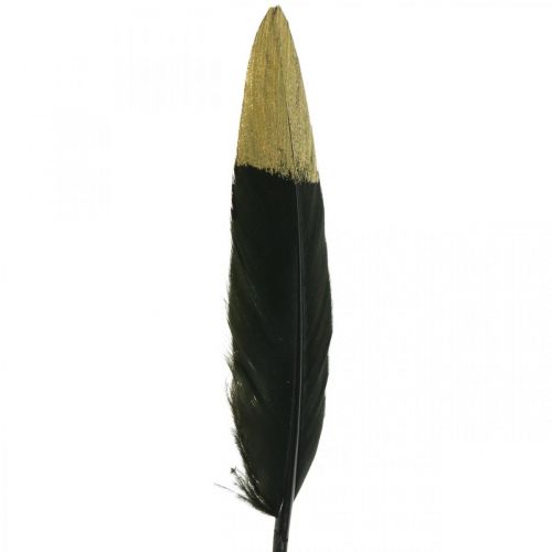gjenstander Dekorative fjær svarte, gull ekte fjær for håndverk 12-14cm 72stk