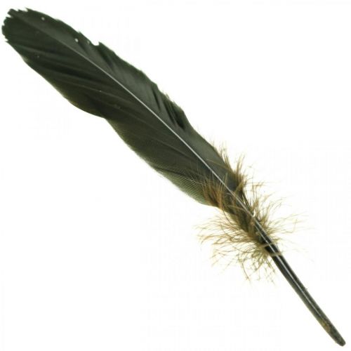 gjenstander Deco fjær svarte fuglefjær for håndverk 14-17cm 20g