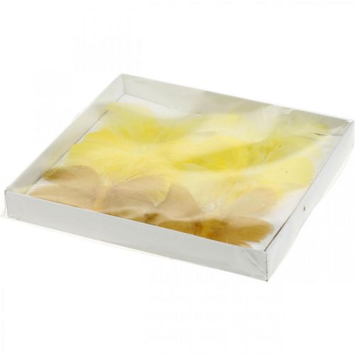 Floristik24 Deco sommerfugler på tråd, vårpynt, vårsommerfugler i gule nyanser 6stk