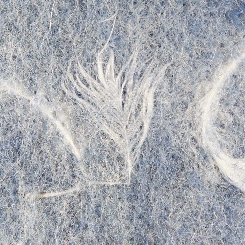 Floristik24 Filtbånd ullbånd dekorativt stoff blå fjær ullfilt 15cm 5m