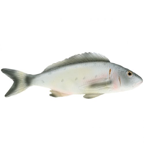 Floristik24 Dekorativ fiskeabbor L27,5cm