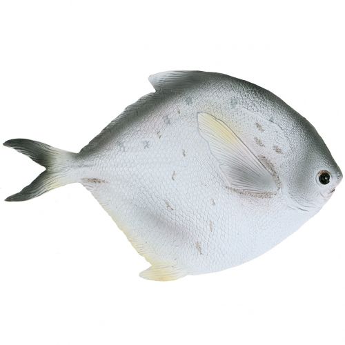 Deco fisk L21cm