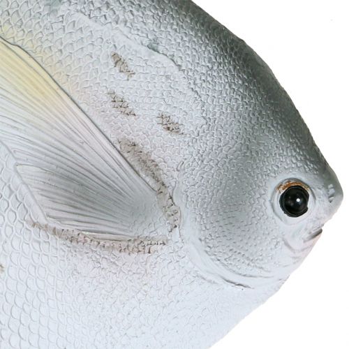 gjenstander Deco fisk L21cm
