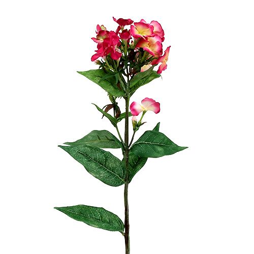 Floristik24 Flamme blomst rosa 72cm