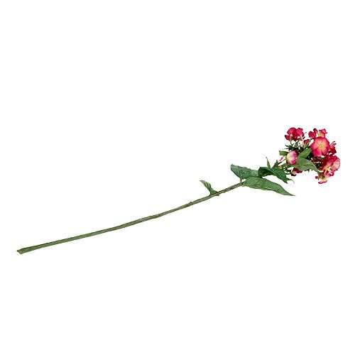 Floristik24 Flamme blomst rosa 72cm