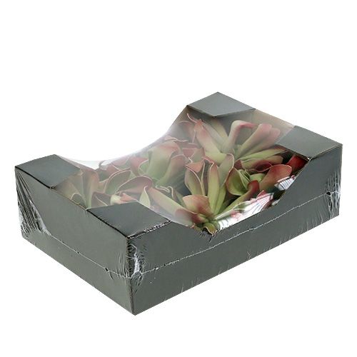 Floristik24 Skumblomst Ø12cm grønn / rød 6stk