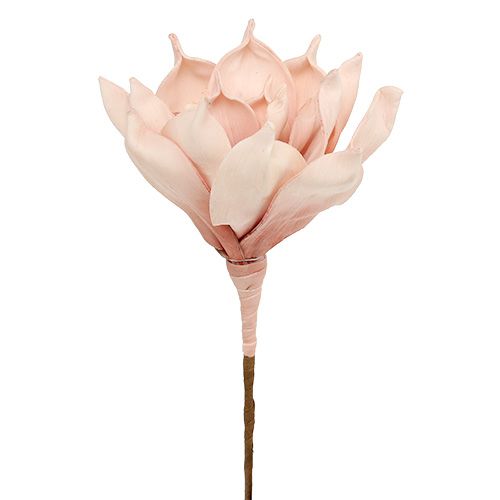 Skumblomst magnolia rosa Ø15cm L65cm