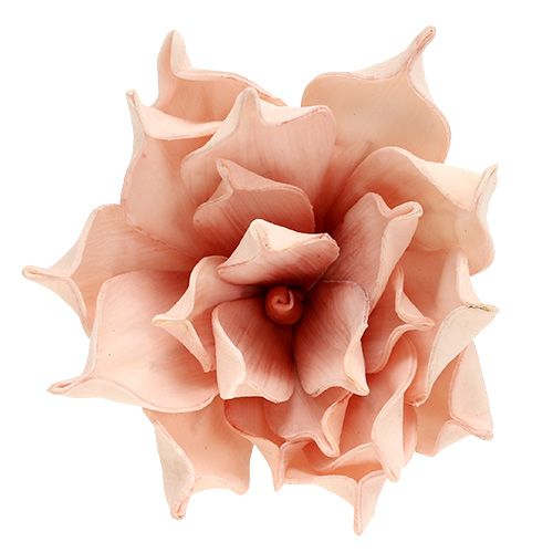 gjenstander Skumblomst magnolia rosa Ø15cm L65cm