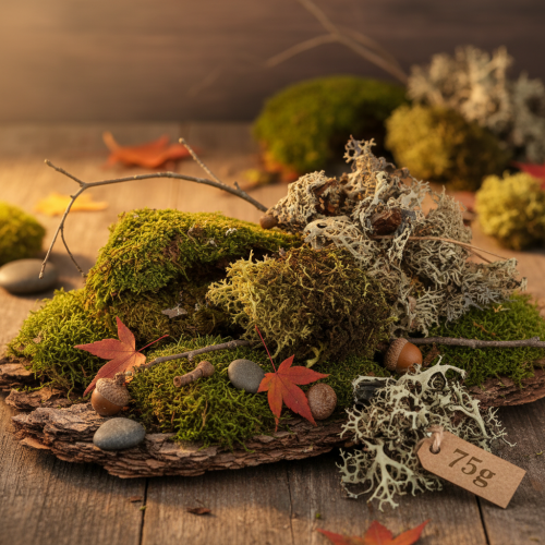 gjenstander Dekorativ mose til hobbybruk, blandet grønn og lysegrønn naturlig mose, 75 g