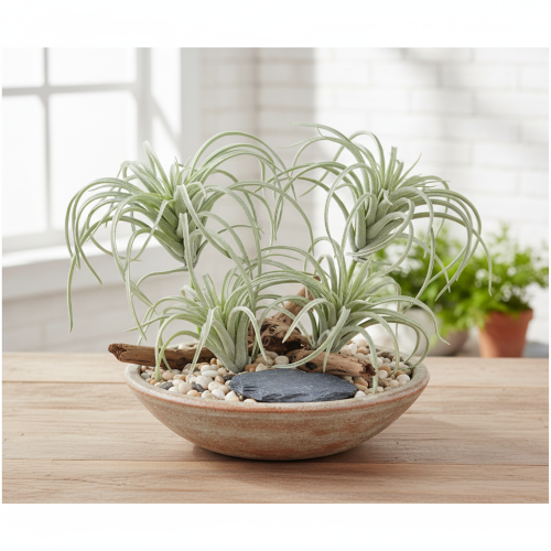 gjenstander Tillandsia sukkulente kunstige grønne planter 13cm