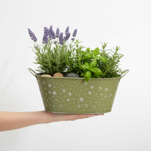 gjenstander Oval metallskål med stjerner og håndtak, grønn, 31 × 16 cm, H12,5 cm