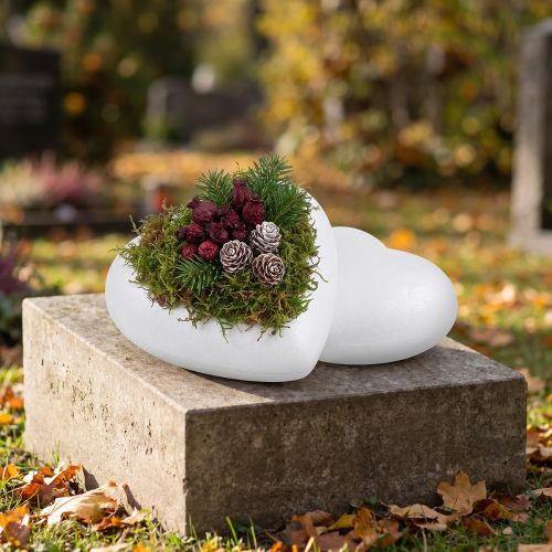 Styrofoam hjerte buet medium 11cm 2stk | Floristik24.no