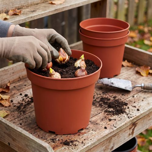 Plantepotte plast Ø29cm 10stk | Floristik24.no