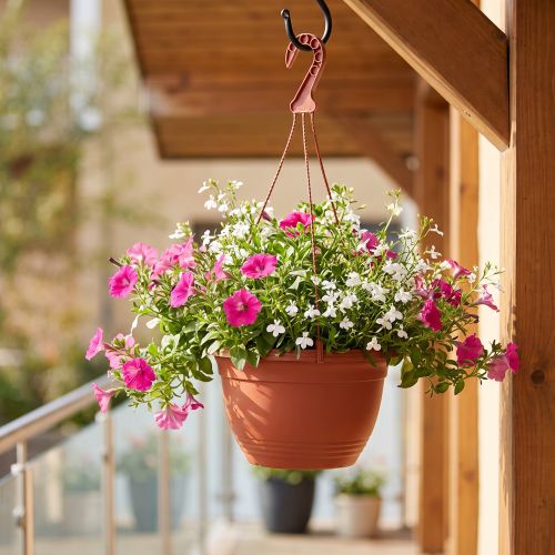 Hengende kurv Ø30cm terrakotta | Floristik24.no