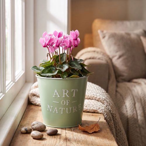 gjenstander Blomsterpotte i sink, mintgrønn, Ø15 cm, H13,5 cm