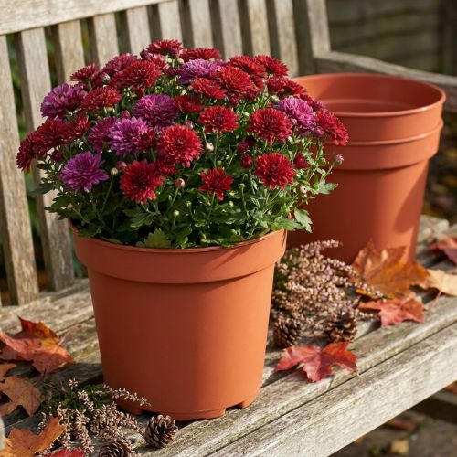 Plantepotte plast Ø23cm 10stk | Floristik24.no