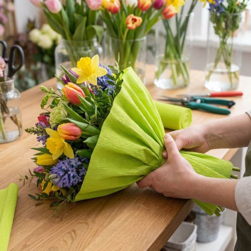Florist crepe papir mai grønn 50x250cm | Floristik24.no