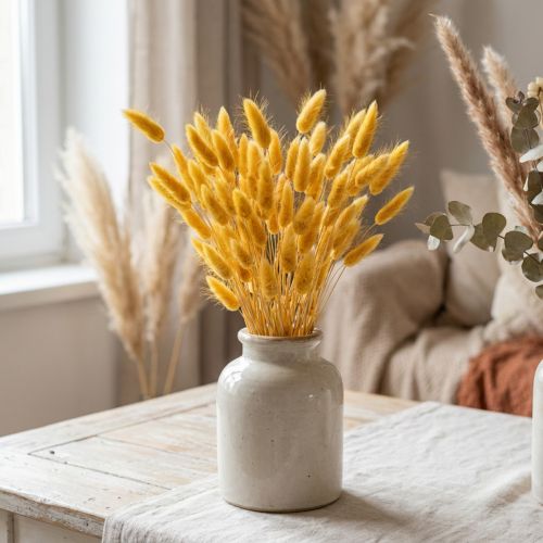 Lagurus gul, fløyelsgress, kaninhalegress L20-50cm 25g | Floristik24.no