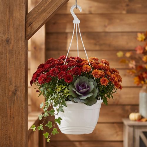 Hengekurv Ø30cm hvit | Floristik24.no