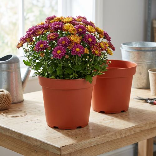 Plantepotte plast Ø21cm 10stk | Floristik24.no