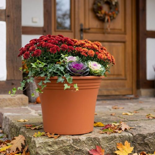 Potte “Irys” plast terrakotta Ø43cm H35cm 1 stk | Floristik24.no