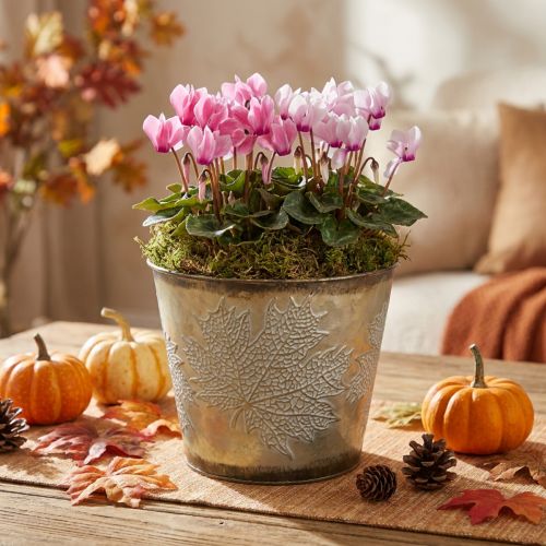 Høstgryte, planter med blader, gyllen metalldekorasjon Ø16,5cm H14,5cm | Floristik24.no