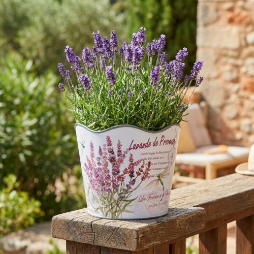 Plantekar plast blomsterpotte sommer lavendel Ø16,5cm H13,5cm | Floristik24.no