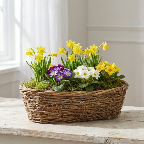Naturlig plantepotte av slyngplante, oval blomsterpotte, 40x19x11,5 cm | Floristik24.no