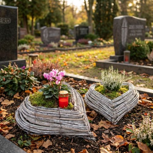 Plant hjerterottingranker i naturhvit 13cmx14cm 2stk | Floristik24.no