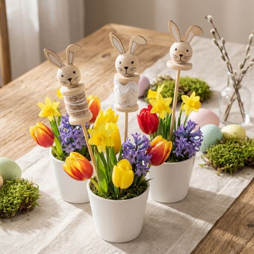 Blomsterpinne Kaninved Natur,