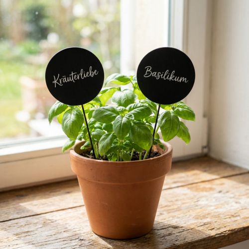 Dekorative tavlepiker i tre, runde, svarte, Ø6 cm, L15 cm, 12 deler - Kreativ dekorasjon til blomsteroppsatser og gaver | Floristik24.no